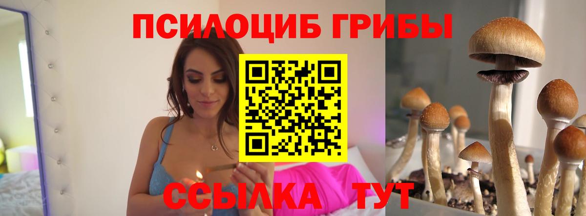 Псилоцибиновые грибы ЛСД Костомукша